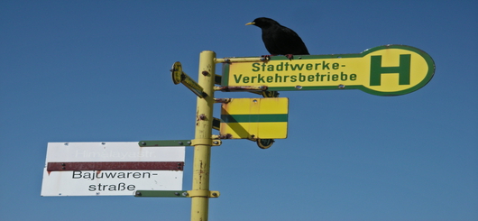 Schonmal Ausguck nach dem nächsten Bus halten Schonmal Ausguck nach dem nächsten Bus halten